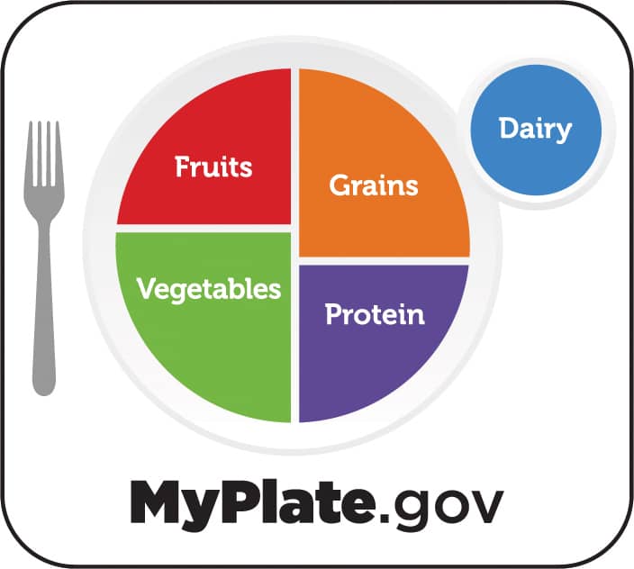 Logotipo del sitio web MyPlate.gov, que muestra un plato dividido en cuartos para frutas, verduras, cereales y proteínas. Una taza al lado está etiquetada como "lácteos".