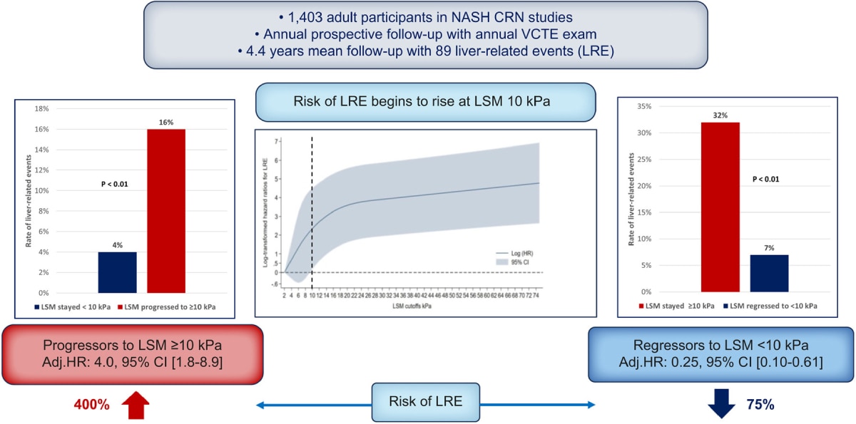 A graph demonstrating the progression and regression of liver stiffness measurements. Accessible description available below.