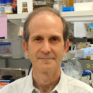 Harris Bernstein.