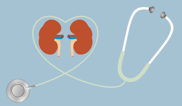 Graphic of kidneys and a stethoscope