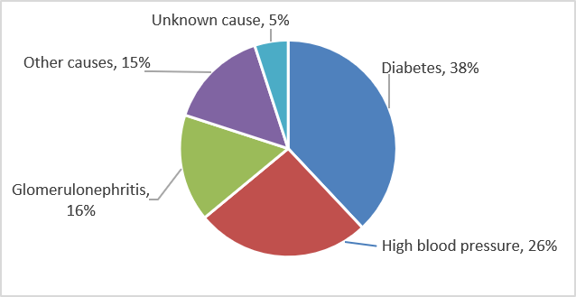 high blood pressure kidney