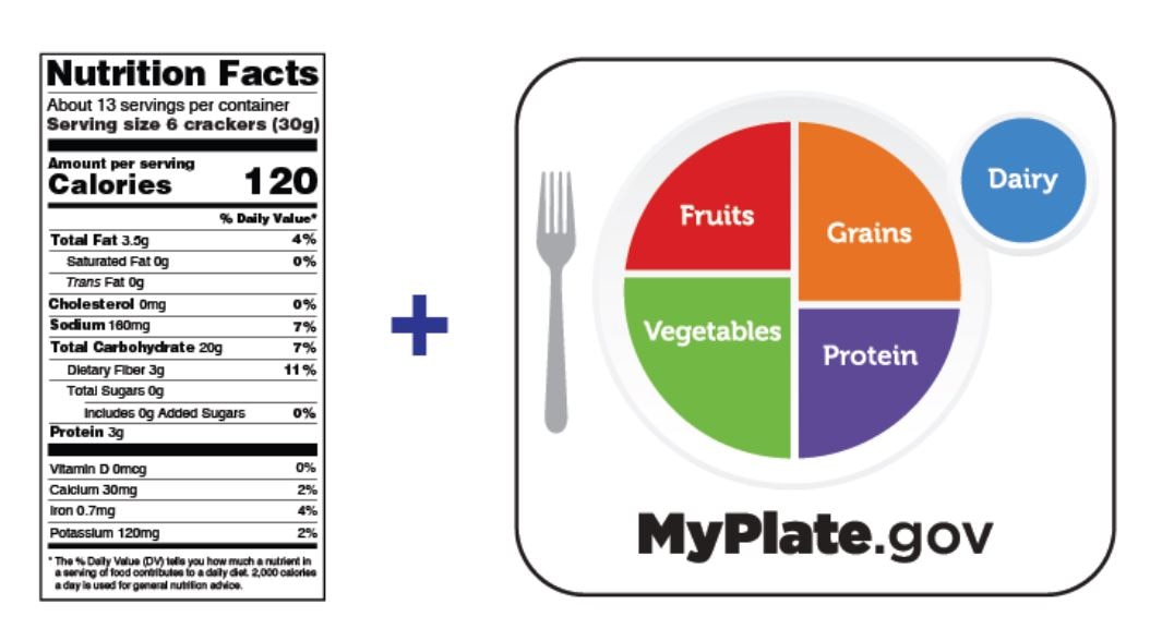 A Quick and Easy Way to Estimate Portion Size - Training Partners, Inc.