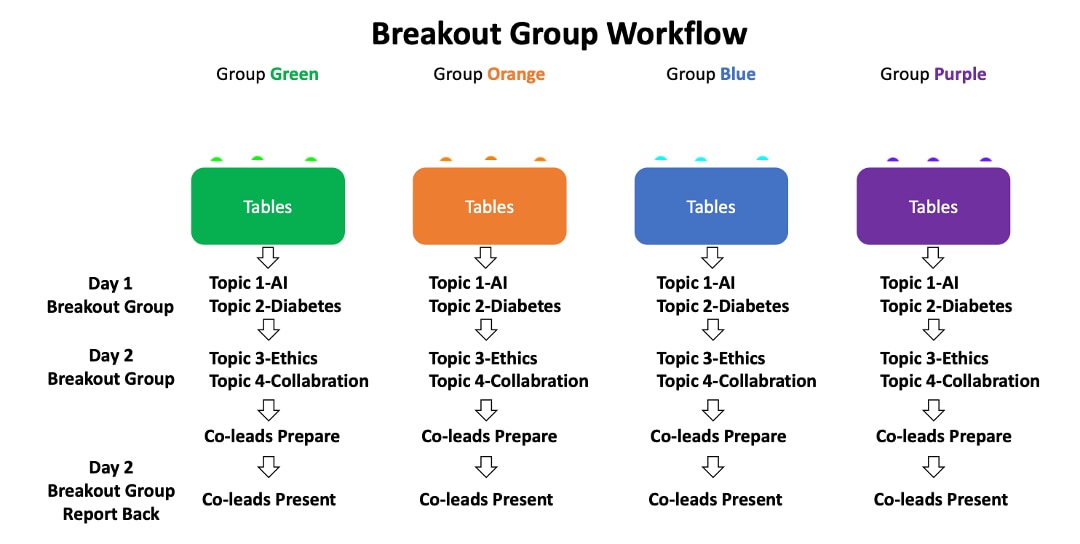 Breakout Groups Workflow for Group Green, Orange, Blue, and Purple for Artificial Intelligence in Precision Medicine of Diabetes and Other Chronic Diseases