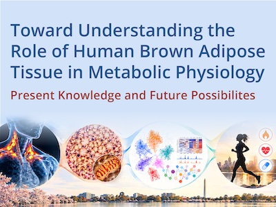 Toward Understanding the Role of Human Brown Adipose Tissue in Metabolic Physiology: Present Knowledge and Future Possibilities rotator