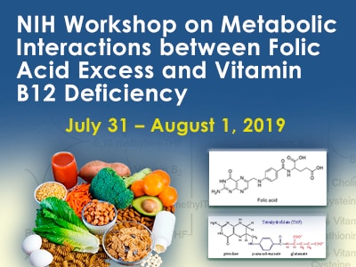 Schrijf een brief Mars Tragisch Workshop on Metabolic Interactions between Folic Acid Excess and Vitamin B12  Deficiency | NIDDK