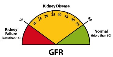 Explaining Your Kidney Test Results: A Tear-off Pad For Clinical Use ...