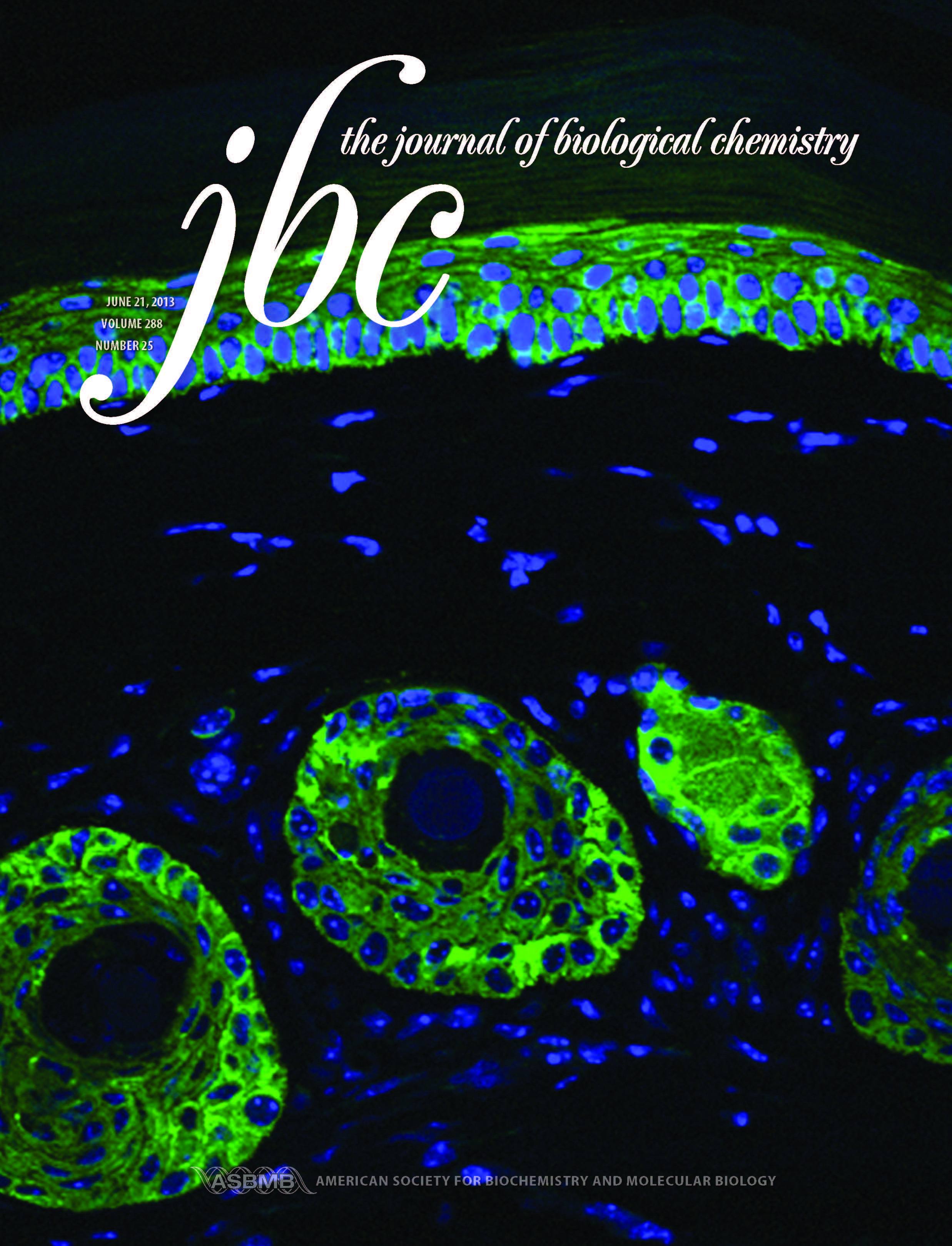 2013 cover of the Journal of Biological Chemistry.