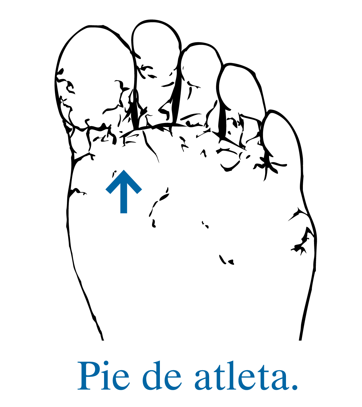 dibujo de la planta del pie