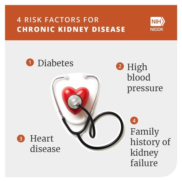 Four risk factors of chronic kidney disease: diabetes, high blood pressure, heart disease, and family history of kidney disease.