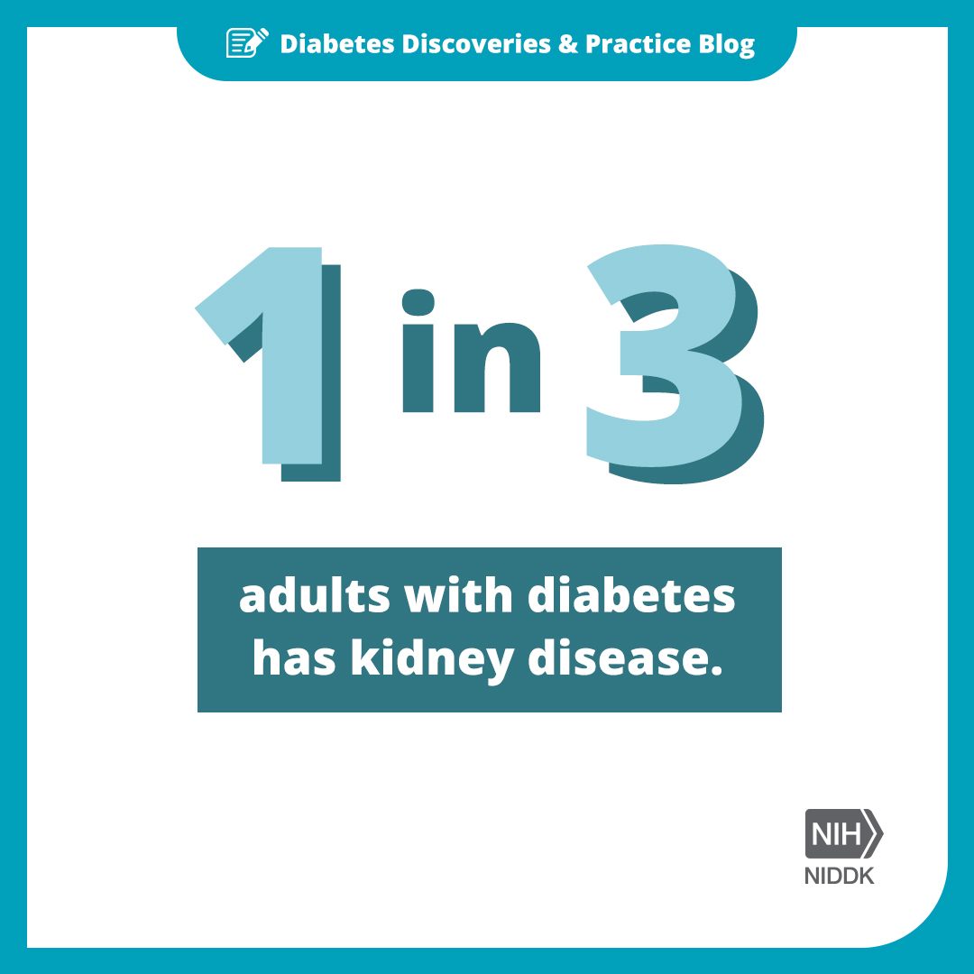 Diabetes Kidney Disease Statistic   Media Asset   NIDDK