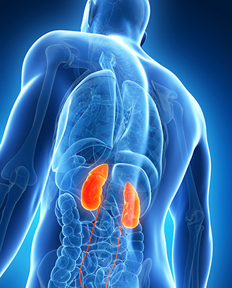 Kfwny | Diabetic Kidney Disease